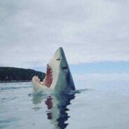 sharkyyyy - steam id 76561199077816796