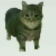 TTPPKK–Take it Ea3γ