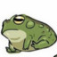 Frogg