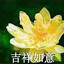 安和昴