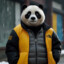 PandaBuy Hugo