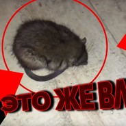 Полный Владос