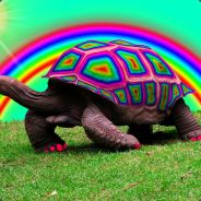MeatyCentipede