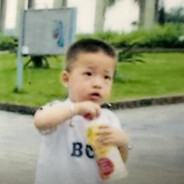 逃不出的尼伯龙根