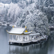 xjp - steam id 76561198326459730