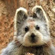 ひとりじゃない