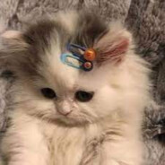 狂拽酷霸炫吊炸天的张翰