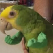 LoroMckenzie