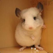 莽夫