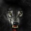 *BlacK*1989*WolF*