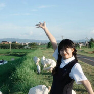 椰子今天很可爱