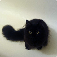 zyp's Steam avatar