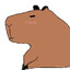 Capy-Aniki