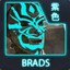 Brads