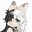 cat cat cat cat cat cat cat cat