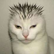 今天的昧光做人了吗