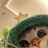 朴灿烈的小心肝