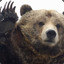 Bruin