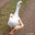 El_DaViD_