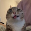 Pipson