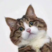 追我追我我是突破口