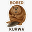 Bober
