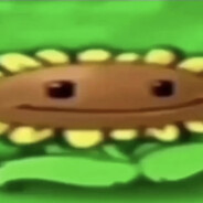vartecc