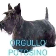 ORGULLO POTOSINO