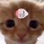 Aoshi's avatar
