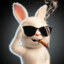 Gavin_zsw