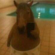 晚安，妈了巴子