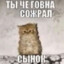 тотухе барнаул