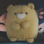 神奇先生小熊Bear