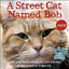 Street Cat Name BoB