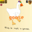 goose