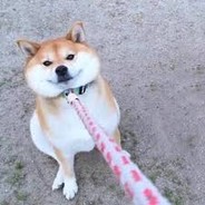 我不出去 放開我！！！