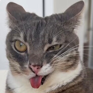 Migrant - steam id 76561198363336718