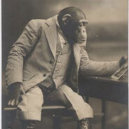 Schrodinger's Monkey