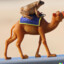 Camel_Toad