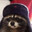 Nacoon