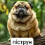 mops's avatar