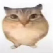 吃席了