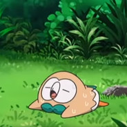 Rowlet (Xander)