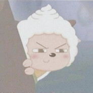 肚肚猫和串串狗