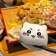 人生真是喵喵又咪咪