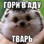 БерсеркИванович