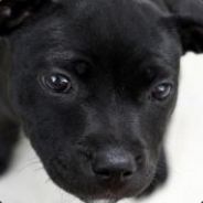 ♥§Killermaus§♥☺☻