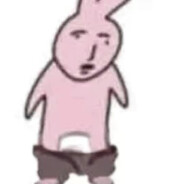 跳跳是个小可爱