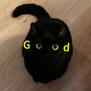 我是乖乖小鲨猫，爱吃双层吉士汉堡