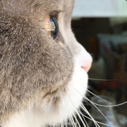 我是谁，我在那